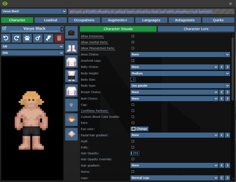 Файл:CharacterSetupMenu.png
